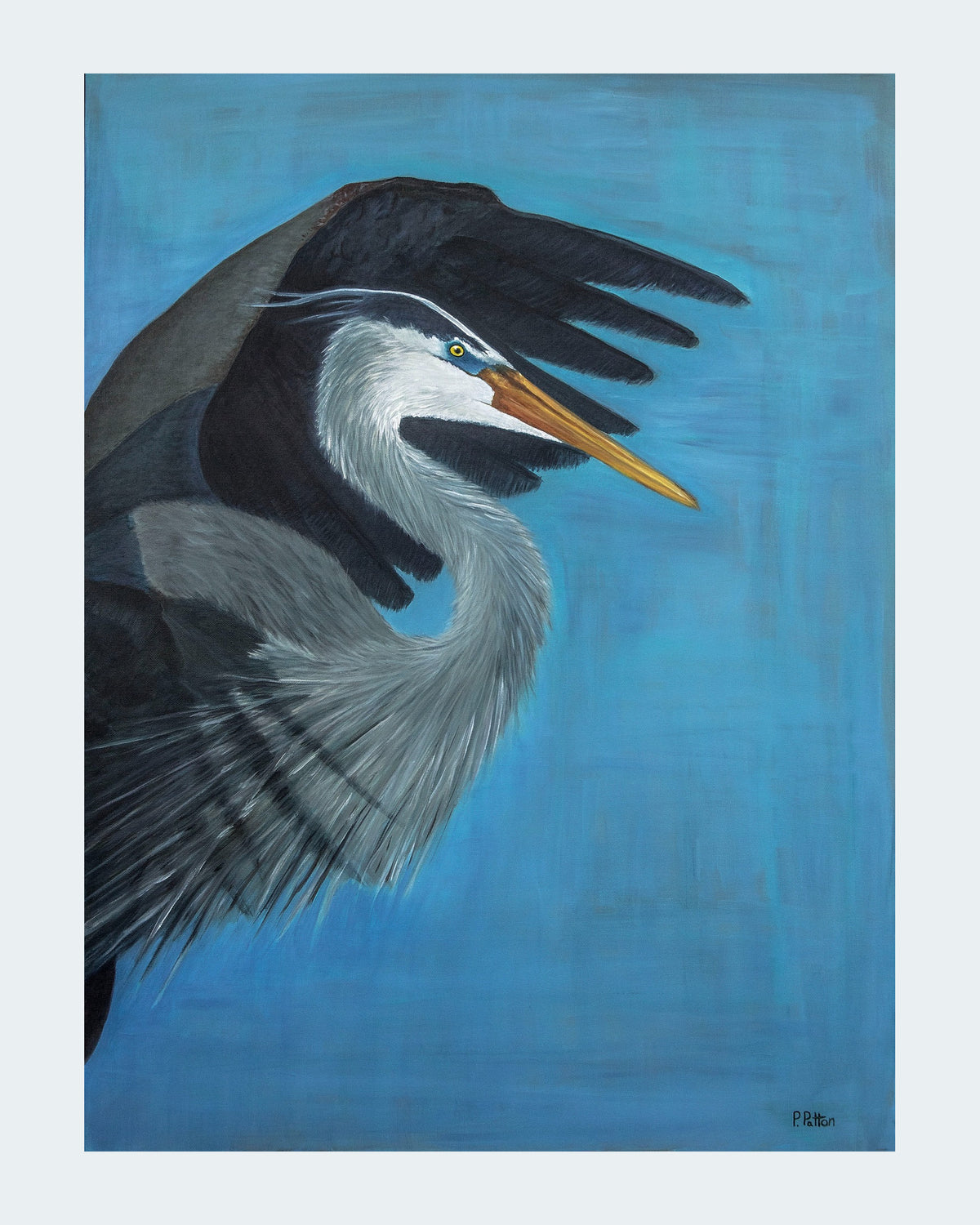 Wide Open — Open Edition Fine Art Canvas Print