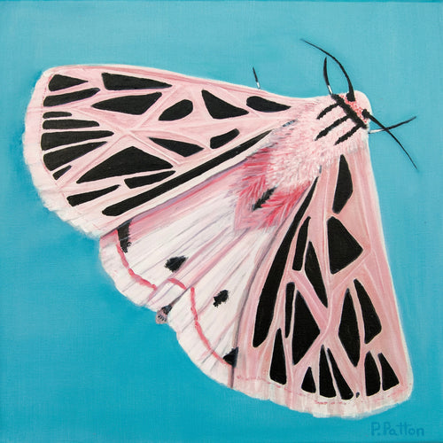 Fortitude, Pamela Patton's Four Cardinal Virtues, full 38 by 38 inch Designer Edition moth painting