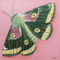 Temperance, Pamela Patton's Four Cardinal Virtues, full 38 by 38 inch Designer Edition moth painting